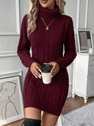 Cable knit turtleneck sweater dress for women